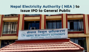 Nepal Electricity Authority ( NEA )