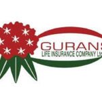 Gurans Life Insurance Company (GLICL) Dividend History